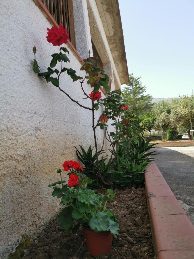 Frida Casavacanze * Castellammare del Golfo