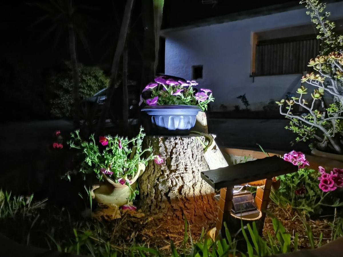 Frida Casavacanze Holiday home Castellammare del Golfo